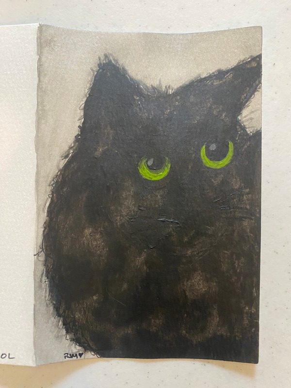 Black cat: Adore me as you should.