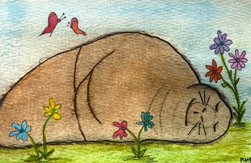 Sleepy marmot: Happy retirement